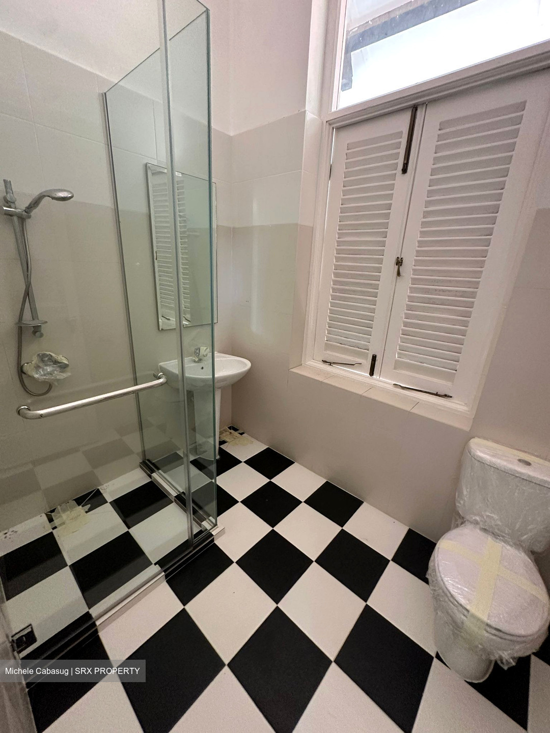 Mount Pleasant Road (D11), Detached #484799801